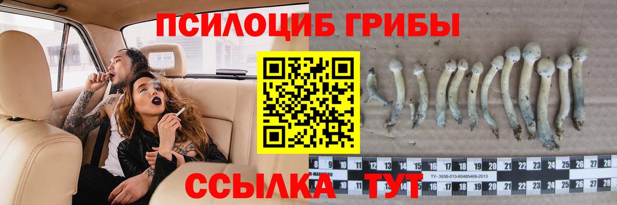 Долгопрудный  где купить наркоту  Вход с VPN  Галлюциногенные грибы прущие грибы 